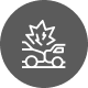 Car Accident Icon