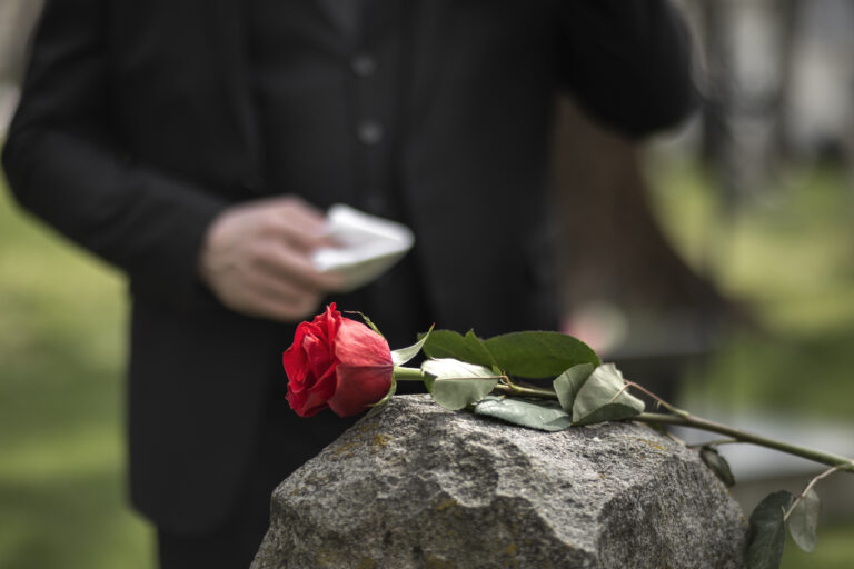 Rose on stone